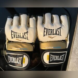 Everlast boxing gloves